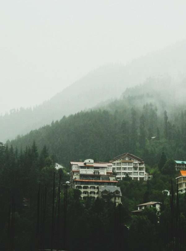 Mountain